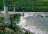 Talafofo bay. The sand used to extend out about 100 ft.
