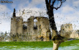 Ruined Reflection
