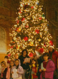 Oh,  Christmas Tree