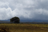 <br><br>Oahu, HI<br>On the way to the North Shore<br><br>