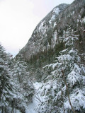 Avalanche Pass trail