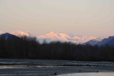 Sunrise on Chilkat Range, with Eagles-110306-Chilkat River, Haines, AK-0607.jpg