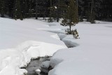 Warm Creek-021607-Yellowstone Natl Park-0118.jpg