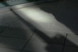 IMG_0755 shadows