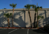 IMG_8694 palmiers sur motel cheap.jpg