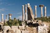 Volubilis