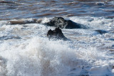 Essaouira