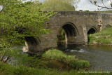 Bridge over the Eden DSC1737
