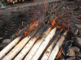 burning stakes