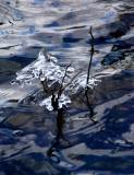 Ice Caps