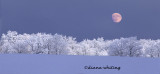 Ice and Snow