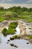 Stepping Stones