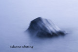 Adrift
