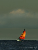 Evening Sail