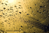 Come Rain or Come Shine