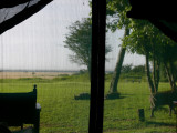 The view from our tent at Kichwa Tembo