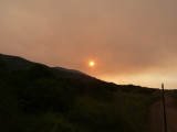 Another of the sunset.  They were doing controlled burning, I think this gave the sky the orange colour