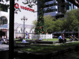Christmas downtown Wellington NZ.jpg