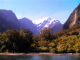A stop along the way on Milford Sound.JPG