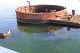A Portion of the Arizona that extends above water