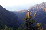 View from the Puu o Kila Lookout