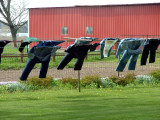 Amish Laundry 4444.JPG