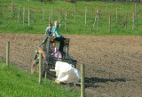 Amish children playing in the field. 4476.JPG