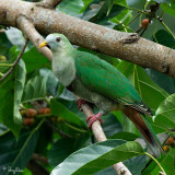 IMG_6577-640x640.jpg