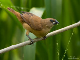 IMG_9415-1000x750.jpg