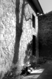 WallShadow