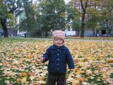 IMG_4189_4_1.JPG