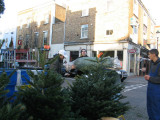 IMG_5325_7_1.JPG