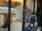 IMG_5477_30_1.JPG
