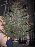 IMG_5524_8_1.JPG