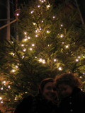 IMG_5534_3_1.JPG