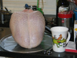 IMG_5559_12_1.JPG