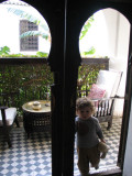 IMG_5620_1_1.JPG