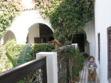 IMG_5627_2_1.JPG