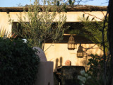 IMG_5706_12_1.JPG
