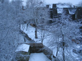 IMG_6206_10_1.JPG