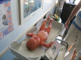 IMG_7051_3_1.JPG