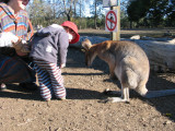 IMG_7286_7_1_1.JPG