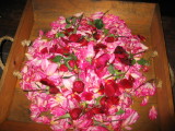 IMG_7590_46_1.JPG