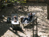 IMG_7592_1_1.JPG