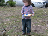 IMG_7672_16_1.JPG