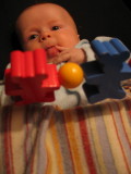 IMG_7708_22_1.JPG