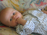 IMG_8178_46_1.JPG