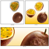 Retouch & Illustration / Img44