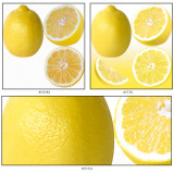 Retouch & Illustration / Img46