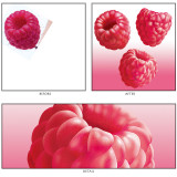 Retouch & Illustration / Img47